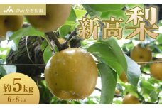 【JAみやぎ仙南】梨「新高」約5kg (6～8玉入)