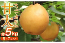 梨「甘太」約5kg（5～7玉入）【松崎果樹園】