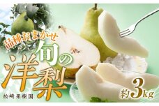 品種おまかせ旬の洋梨 約3kg 梨 洋梨 洋ナシ 洋なし 果物 フルーツ くだもの お取り寄せ 人気 おすすめ 品種 お任せ (バラード グランドチャンピオン コミス ラ・フランス ル レクチェ )