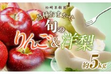 品種おまかせ 旬のりんごと洋梨詰合せ 約5kg【松崎果樹園】