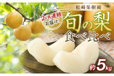 2ヶ月連続お届け 旬の梨食べ比べ 約5kg【松崎果樹園】