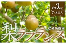 梨「ラ・フランス」約3kg（7～8玉入）【松崎果樹園】