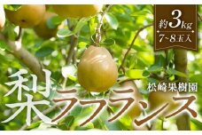 梨「ラ・フランス」約3kg（7～8玉入）【松崎果樹園】