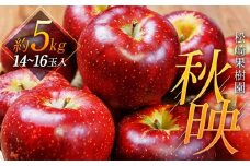 「秋映」約5kg（14～16玉）【松崎果樹園】