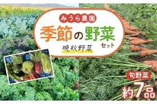 【先行予約】みうら農園 季節の野菜セット おまかせ7品（晩秋野菜）【10月上旬以降より順次発送】