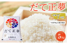 令和7年産 米 だて正夢 5kg お米 白米 精米 こめ ご飯 ごはん おにぎり 国産 お取り寄せ 人気 おすすめ 食品 宮城