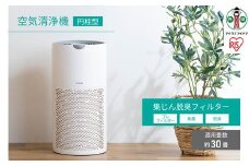 空気清浄機 30畳 円柱型 静音 大畳数 切タイマー シンプル お手入れ簡単 アイリスオーヤマ 切タイマー 花粉対策 ギフト おやすみモード ギフト チャイルドロック 持ち運び 滅光 AAP-S60B-W ホワイト