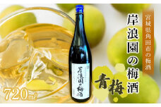 梅酒 青梅 720ml 1本 梅 うめ お酒 酒 さけ ご当地 アルコール ギフト ロック サイダー 炭酸割り 人気 おすすめ 宮城 角田