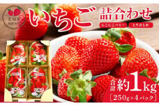 【JAみやぎ仙南】宮城県角田市産いちご　にこにこベリー・とちおとめ詰合せ　合計約1kg（250g×4パック）