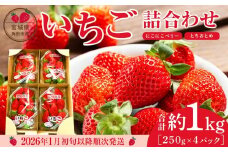 【先行予約】【JAみやぎ仙南】宮城県角田市産いちご　にこにこベリー・とちおとめ詰合せ　合計約1kg（250g×4パック）【2026年1月初旬より順次配送】