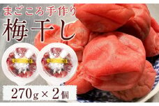 【先行予約】宮城県角田産【無添加】まごころ手作り梅干し(270g)×2個【10月上旬より発送】｜梅干し 田舎の梅干し すっぱい  梅干 うめぼし	