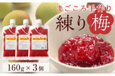 無添加 練り梅 160g × 3個 手作り 梅干 梅干し うめぼし うめ干し 塩分 15% 〜 18% すっぱい 熱中症対策 お試し お取り寄せ 国産 人気 おすすめ 宮城