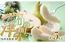品種おまかせ旬の洋梨 約5kg 梨 洋梨 洋ナシ 洋なし 果物 フルーツ くだもの お取り寄せ 人気 おすすめ 品種 お任せ ( バラード グランドチャンピオン コミス ラ・フランス ル レクチェ )