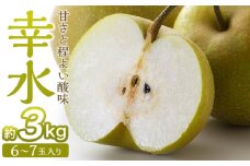 梨「幸水」約3kg（6～7玉入）【松崎果樹園】