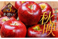 「秋映」約3kg（8～10玉）【松崎果樹園】