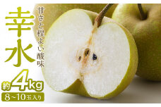 梨「幸水」約4kg（8～10玉入）【松崎果樹園】