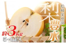 梨「豊水」約3kg（5～6玉入）【松崎果樹園】