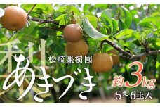 梨「あきづき」約3kg（5～6玉入）【松崎果樹園】