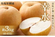 【馬場果樹園】梨「幸水」約3kg（5～8玉入）8月中旬～順次発送
