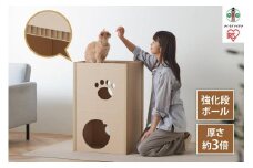 猫　ねこねこタワー　P-NT2
