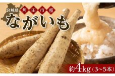 【先行予約】＼ご飯のお供に／ 長芋 約4kg ( 3-5本 ) | 【2025年11月下旬～順次発送】とろろ やまかけ 長いも ながいも 芋 お芋 長芋 いも 野菜 やさい 人気 おすすめ 2025 期間限定 数量限定