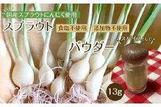 スプラウトにんにくパウダー13g 　国産スプラウトにんにく使用