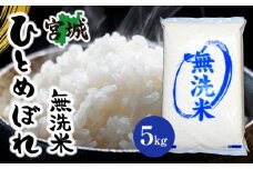 【令和6年産】宮城県産ひとめぼれ【無洗米】　5kg×1袋