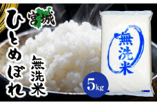 【令和6年産】宮城県産ひとめぼれ【無洗米】　5kg×1袋