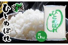 【令和6年産】宮城県産ひとめぼれ　5kg×1袋