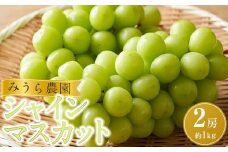【先行予約】シャインマスカット ２房（約１kg）【8月下旬以降より順次発送】