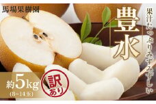 【訳あり】【馬場果樹園】梨「豊水」約5kg（8～14玉入）9月初旬～順次発送