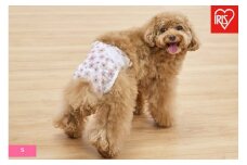 【36枚入り×6袋】ペット用おむつ　ピタフィット　Ｓ　３６枚入　女の子用　　NPD-S36