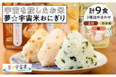 夢☆宇宙米おにぎり 3種類詰め合わせ（9食）【8月上旬より順次発送開始】