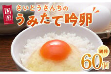 ＼うみたて出荷／ 卵 60個 たまご 玉子 タマゴ 鶏卵 国産 ごはん 卵かけごはん 卵焼き 玉子焼き オムライス 人気 おすすめ お取り寄せ グルメ 宮城