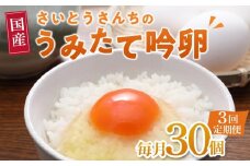 【3回定期便】さいとうさんちのうみたて吟卵　30個入り