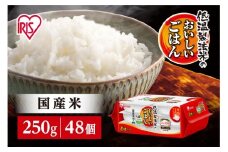 【250ｇ×48食】パックごはん 低温製法米のおいしいごはん アイリスオーヤマ アイリスフーズ  国産米100％ レトルト ご飯 ごはん パックごはん パックご飯 非常食 防災 備蓄 防災食 一人暮らし 仕送り レンチン