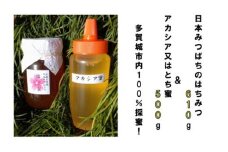 史都多賀城日本みつばちのはちみつ610gとアカシア又はとち蜜500g　【04209-0034】
