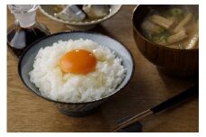 多賀城のお米　令和5年産ひとめぼれ　玄米10kg　【04209-0065】
