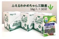 ふえるわかめちゃん三陸産16g入り　30袋　【04209-0071】