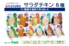 アマタケサラダチキン 6種11P入　【04209-0190】