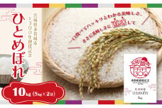 【令和6年産】多賀城市ひとめぼれ10kg（5kg×2袋）　【04209-0199】