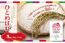 【令和6年産】多賀城市ひとめぼれ5kg（5kg×1袋）　【04209-0213】