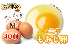 自然飼い　純国産鶏「もみじ」卵　40個入　（Mサイズ）　【04209-0235】