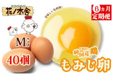【6か月定期便】自然飼い　純国産鶏「もみじ」卵　40個入　（Mサイズ）　【04209-0238】
