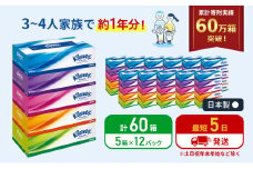 最短発送 ティッシュ クリネックス 60箱 (5箱×12パック) ティッシュペーパー ティシュー ティシューペーパーボックスティッシュ ボックスティシュー 日用品 消耗品 生活用品 生活必需品 まとめ買い 防災 最短 宮城県 岩沼市 [№5704-0182]