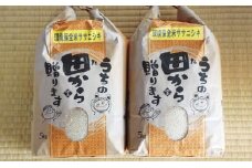 米 宮城 ササニシキ 10kg (5kg×2袋) 愛宕ふぁーむ お米 白米 精米 単一原料米 ブランド米 小分け こめ コメ おこめ ご飯 ごはん 10キロ ささにしき 産地直送 送料無料 岩沼産 環境保全米 宮城県 岩沼市 [№5704-0268]