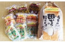 米 岩沼産環境保全米 ササニシキ 5kg 福幸米麺 9個 セット お米 麺類 調理 宮城 宮城県 岩沼市 [№5704-0269]