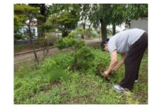 【岩沼市】空き家管理サービスB（見回り・簡易作業（ゴミ拾い、除草作業）・報告）約5時間 [№5704-0416]