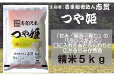 【10月再開予定/令和7年産新米】米 つや姫 5kg 志賀沢米 岩沼産 お米 白米 精米 ブランド米 単一原料米 5キロ こめ コメ おこめ ご飯 ライス つやひめ 宮城県産つや姫 東北 宮城県産 宮城米 グルタミン酸 アスパラギン酸 宮城 宮城県 岩沼市