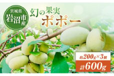 フルーツ 先行予約 ポポーの実 200g×3個 計:約600g ポポー 希少 果物 南国フルーツ 旬 ビタミンC ミネラル カリウム 鉄分 亜鉛 美肌 美容 先行 予約 冷凍 冷凍配送 宮城 宮城県 岩沼市 [№5704-0568]